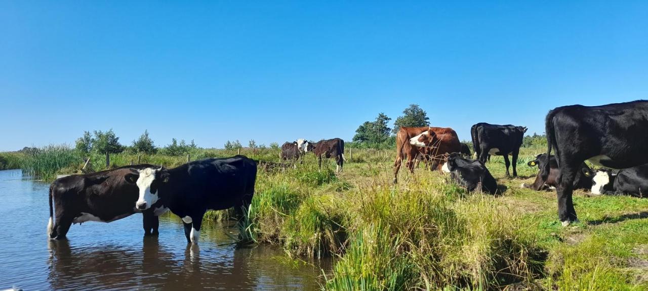 Huisje Beukers Giethoorn Buitenkant foto