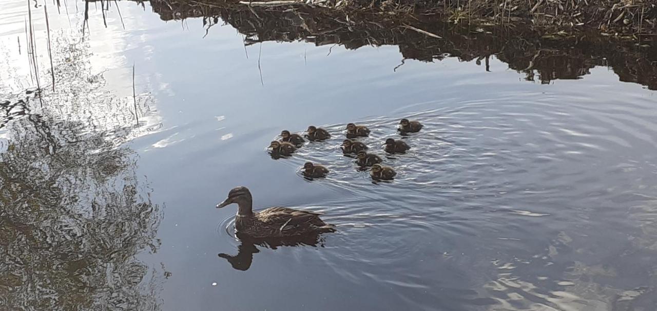 Huisje Beukers Giethoorn Buitenkant foto