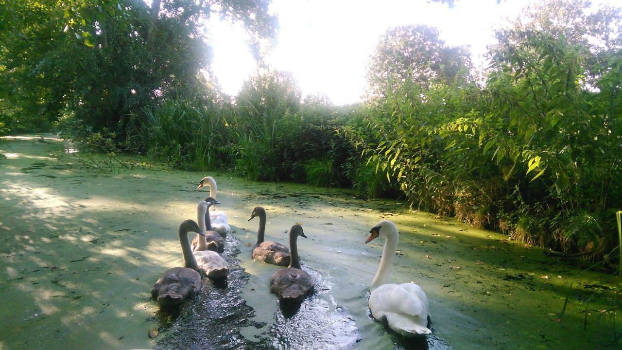 Huisje Beukers Giethoorn Buitenkant foto